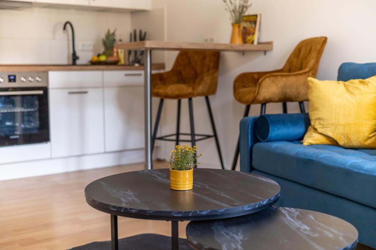 Апартаменты *Neu* 2 Zi, Offene Kueche, Balkon Пирна Экстерьер фото